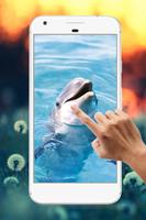 Dolphin Water Ripple Live Wallpaper capture d'écran 3