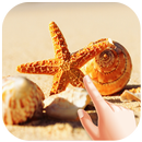 SeaShells Water Ripple Live Wallpaper APK