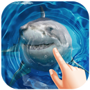 Shark Water Ripple Live Wallpaper APK