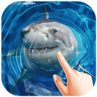 Shark Water Ripple Live Wallpaper icône