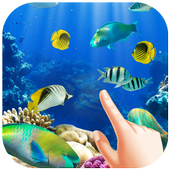 Water Garden Ripple Live Wallpaper آئیکن