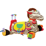 Ryan 28 Activity Center