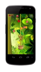 Fruit Monkey Saga APK download