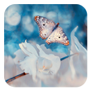 Pure white butterfly fly APK