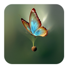 Butterfly Theme icon