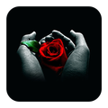 Love Sign Theme