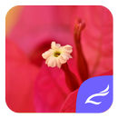 Red Flower CM Launcher Theme APK