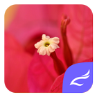 Red Flower icon