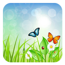 Plant Theme APK