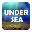 Under Sea Theme