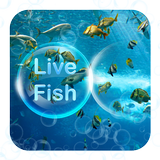 Live Fish Theme icon