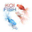 Koi ikan tema