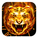 APK Fire Tiger Theme