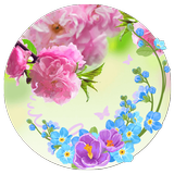 Spring Flowers icono