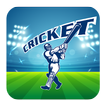 Cricket CM Launcher Theme