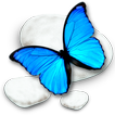 Blue Butterfly CM Theme