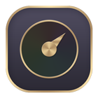 Business Gold Theme icône