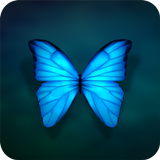 Blue Butterfly Theme icône