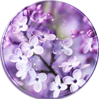 Lilac Lavender Theme Purple آئیکن