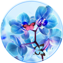 Flor orchid Tema APK