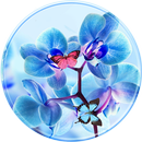Orchid Theme Blue Dream APK
