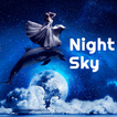 Night Sky Dolphin