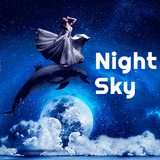 Night Sky Dolphin icône