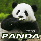 Cute Chinese Fat Animal Panda Theme icône