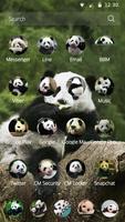 Cute Chinese Fat Animal Panda Theme capture d'écran 1