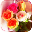 Fleur rose marriage amour