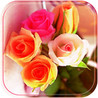 Roos bloem Thema huwelijk lief-icoon