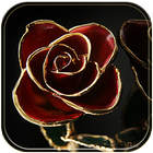 Rouge rose Thème Or rose icône