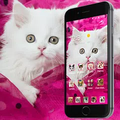 Pink Persian white Cat theme