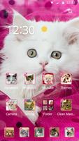 Pink Persian white Cat theme Affiche