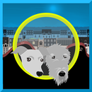 APK Dog Agility Game