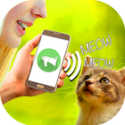 Cat Translate Sound icon
