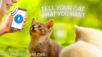 Cat Translate Sound poster