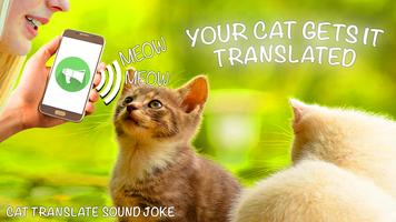 Cat Translate Sound screenshot 1