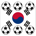 2013年東亞盃韩国 图标