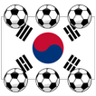 2013年東亞盃韓國
