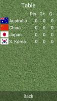 Fußball-OstasienCup Korea 2013 Screenshot 1