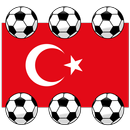 Under 20 World Cup Turkey 2013 APK