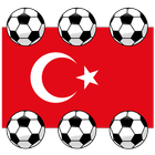 Under 20 World Cup Turkey 2013 icône