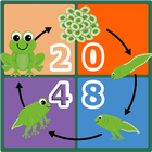 2048 Frog icône