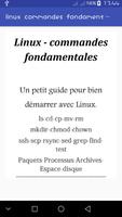 linux commandes fondamentales screenshot 1