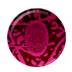Dream Scanner APK