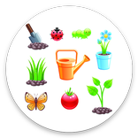 Любимая дача