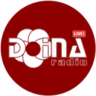 Radio Doina icon