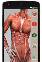 Anatomia humana gratis en español capture d'écran 1