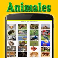3 Schermata Animales - La Enciclopedia